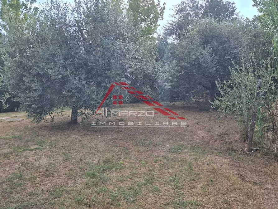 Immagine 4 di Terreno agricolo in vendita  a Casciana Terme Lari