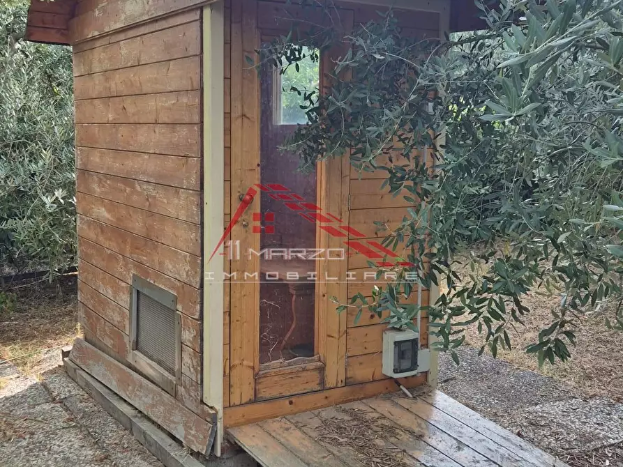 Immagine 6 di Terreno agricolo in vendita  a Casciana Terme Lari