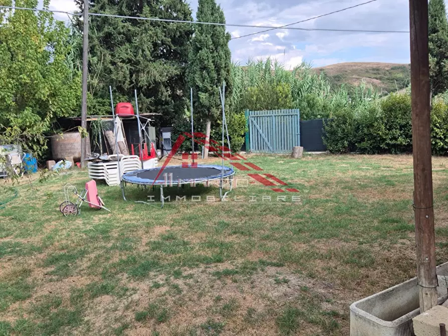 Immagine 5 di Terreno agricolo in vendita  a Casciana Terme Lari