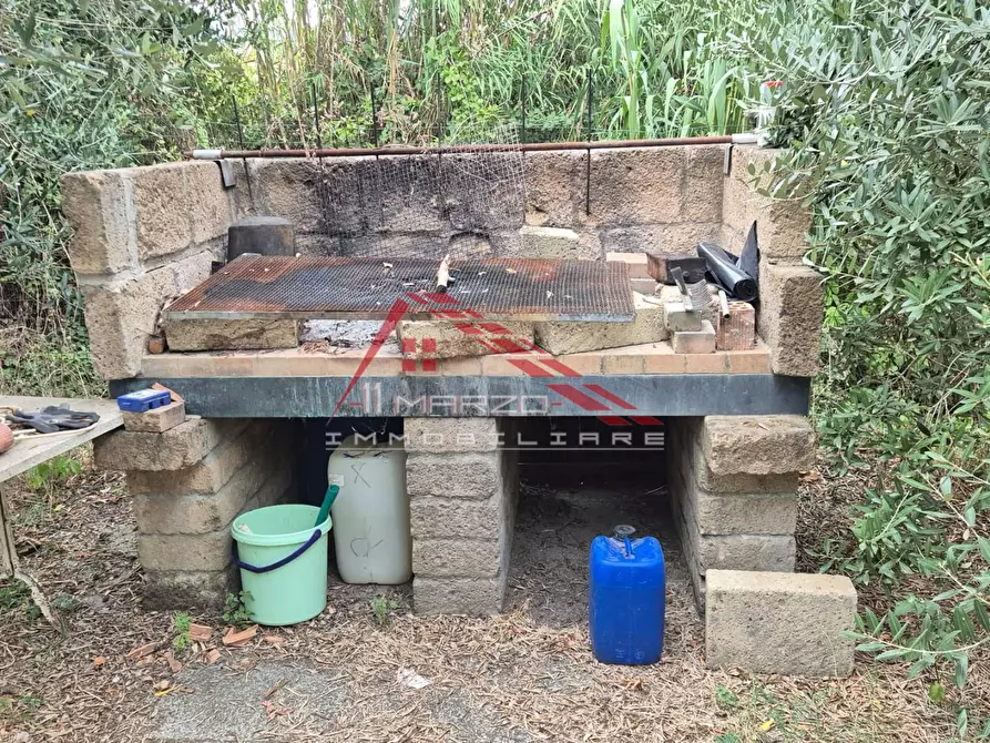 Immagine 3 di Terreno agricolo in vendita  a Casciana Terme Lari