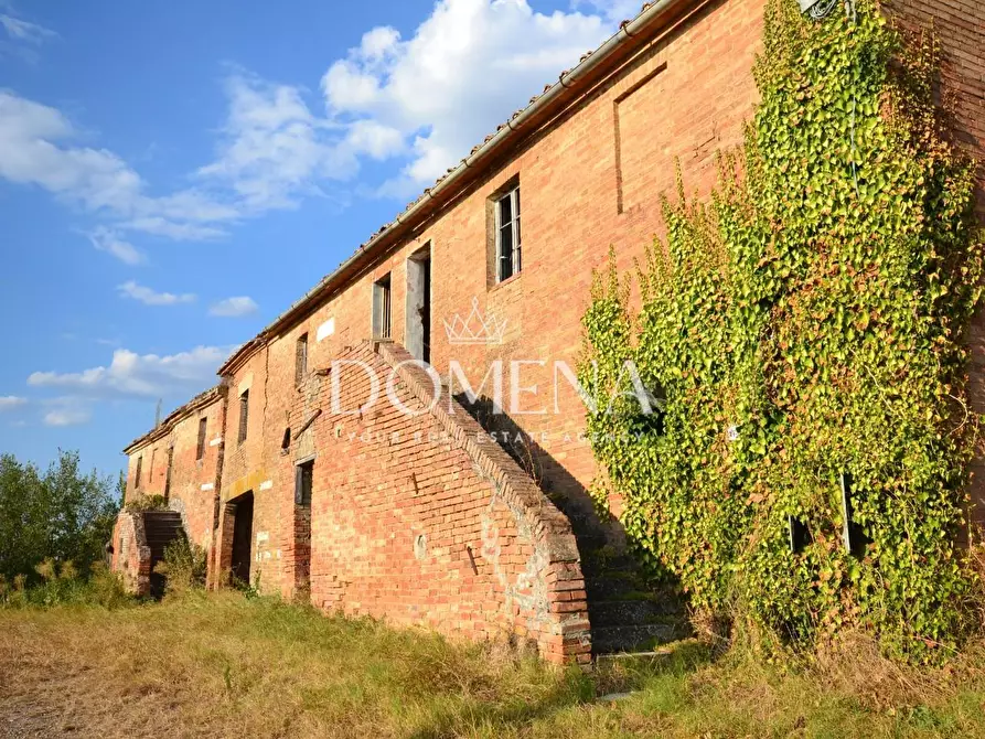 Immagine 15 di Casa colonica in vendita  a Monteroni D'arbia