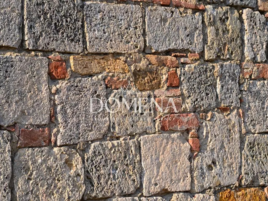 Immagine 41 di Casa colonica in vendita  a Monteroni D'arbia