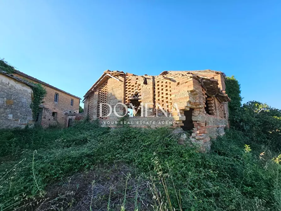 Immagine 25 di Casa colonica in vendita  a Monteroni D'arbia