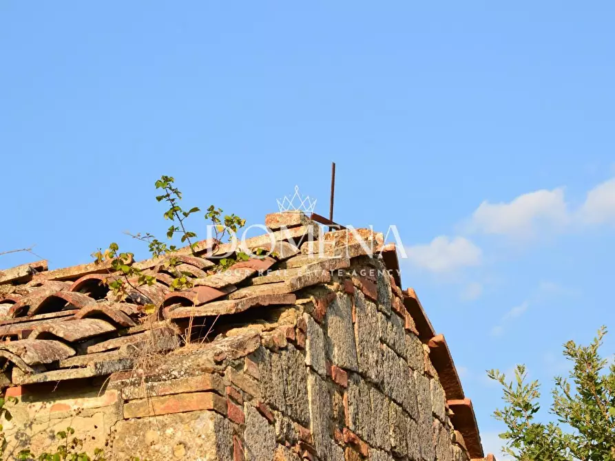 Immagine 40 di Casa colonica in vendita  a Monteroni D'arbia