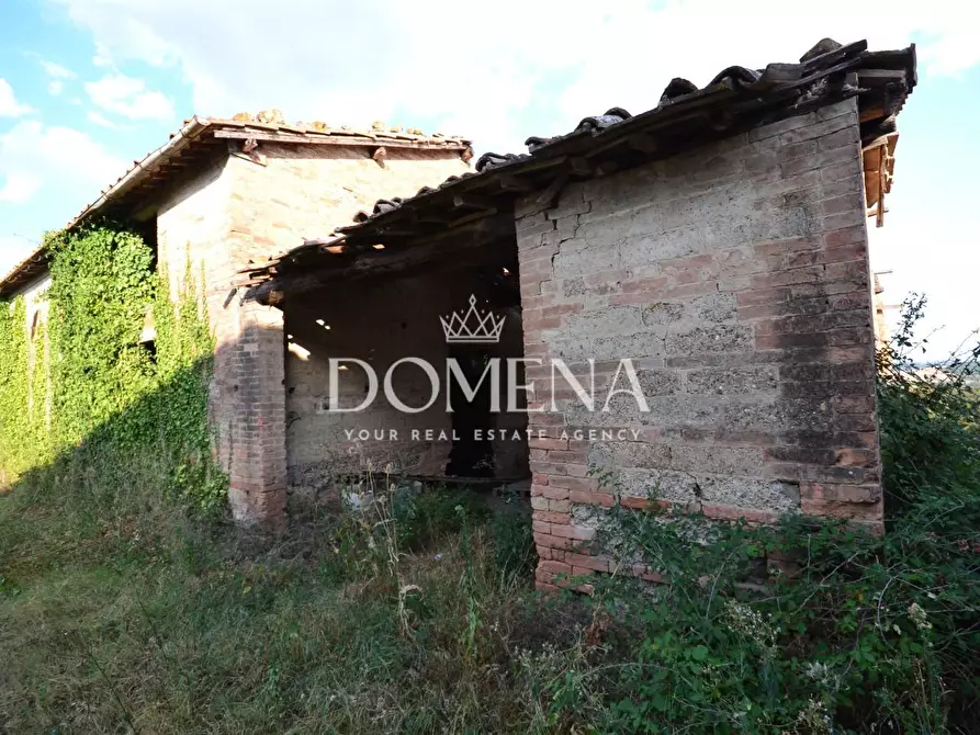 Immagine 32 di Casa colonica in vendita  a Monteroni D'arbia