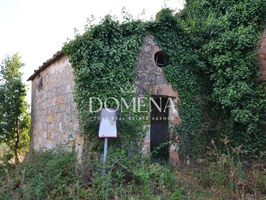 Immagine 34 di Casa colonica in vendita  a Monteroni D'arbia