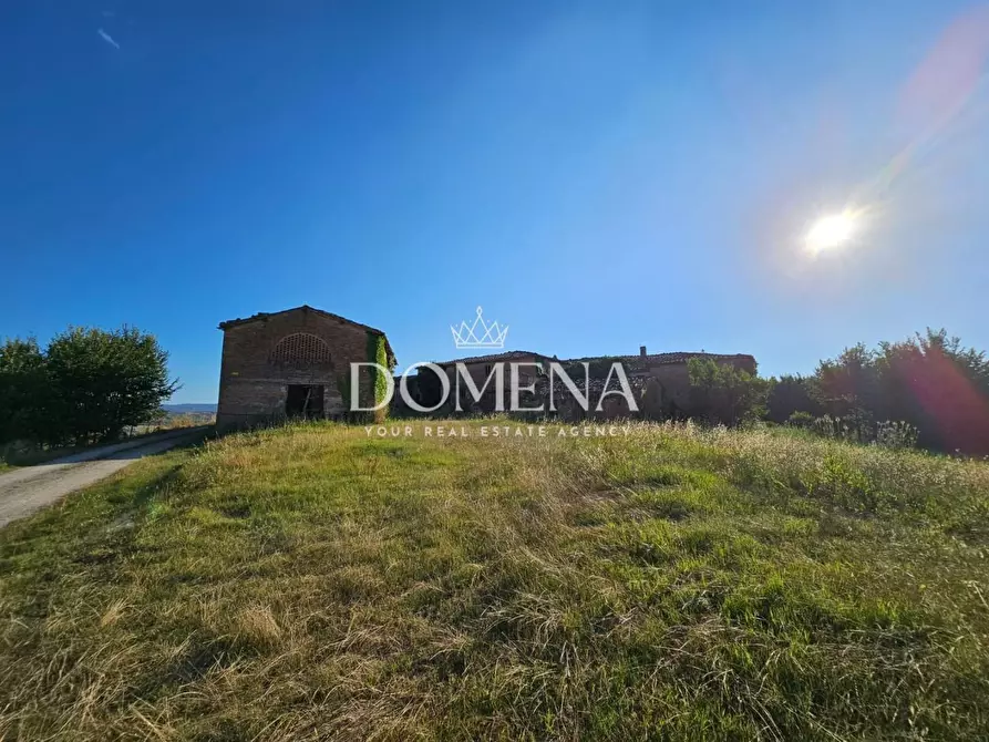 Immagine 19 di Casa colonica in vendita  a Monteroni D'arbia