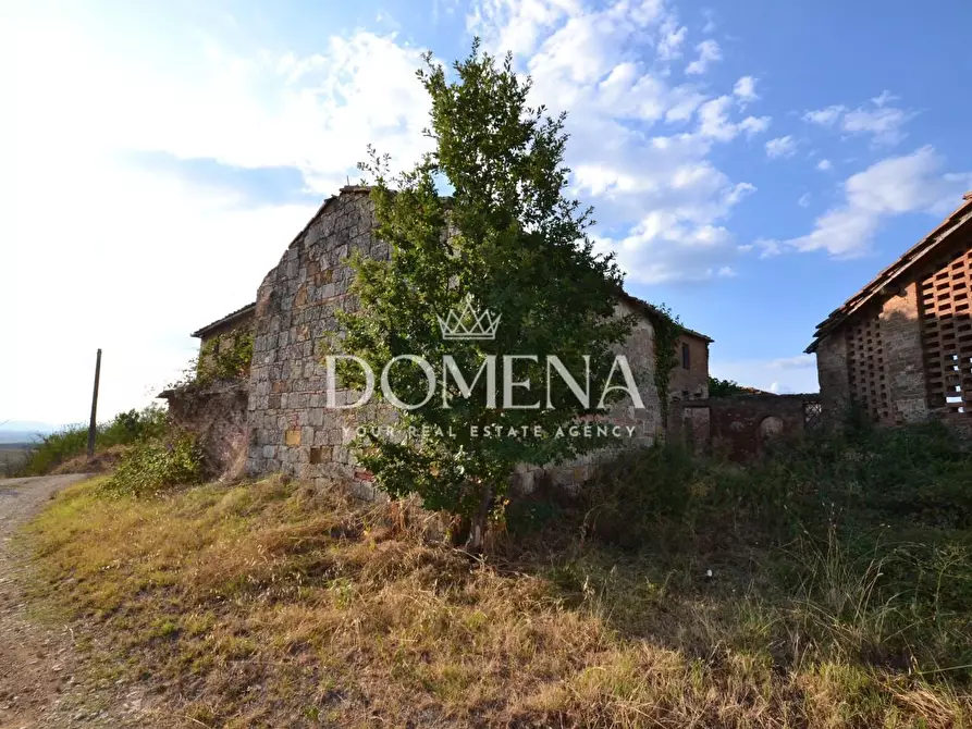 Immagine 33 di Casa colonica in vendita  a Monteroni D'arbia