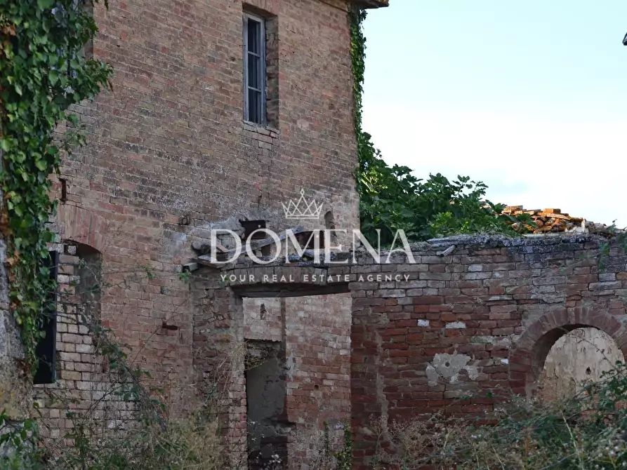 Immagine 31 di Casa colonica in vendita  a Monteroni D'arbia