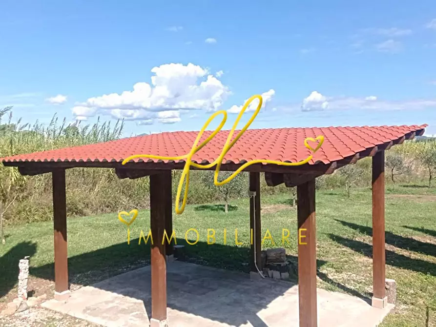 Immagine 27 di Terreno agricolo in vendita  a Bibbona