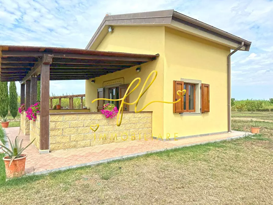 Immagine 3 di Terreno agricolo in vendita  a Bibbona