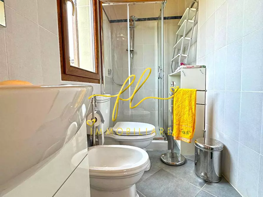 Immagine 23 di Terreno agricolo in vendita  a Bibbona