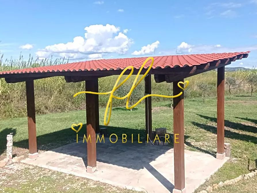 Immagine 26 di Terreno agricolo in vendita  a Bibbona