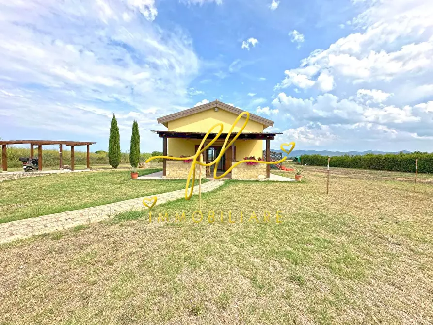 Immagine 9 di Terreno agricolo in vendita  a Bibbona