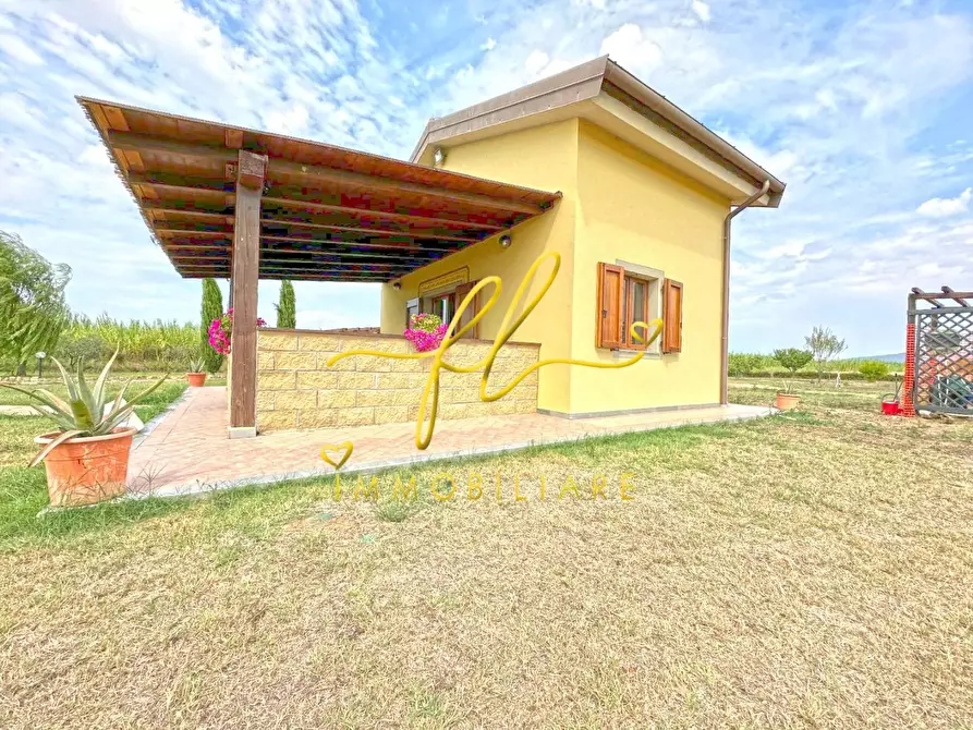 Immagine 5 di Terreno agricolo in vendita  a Bibbona