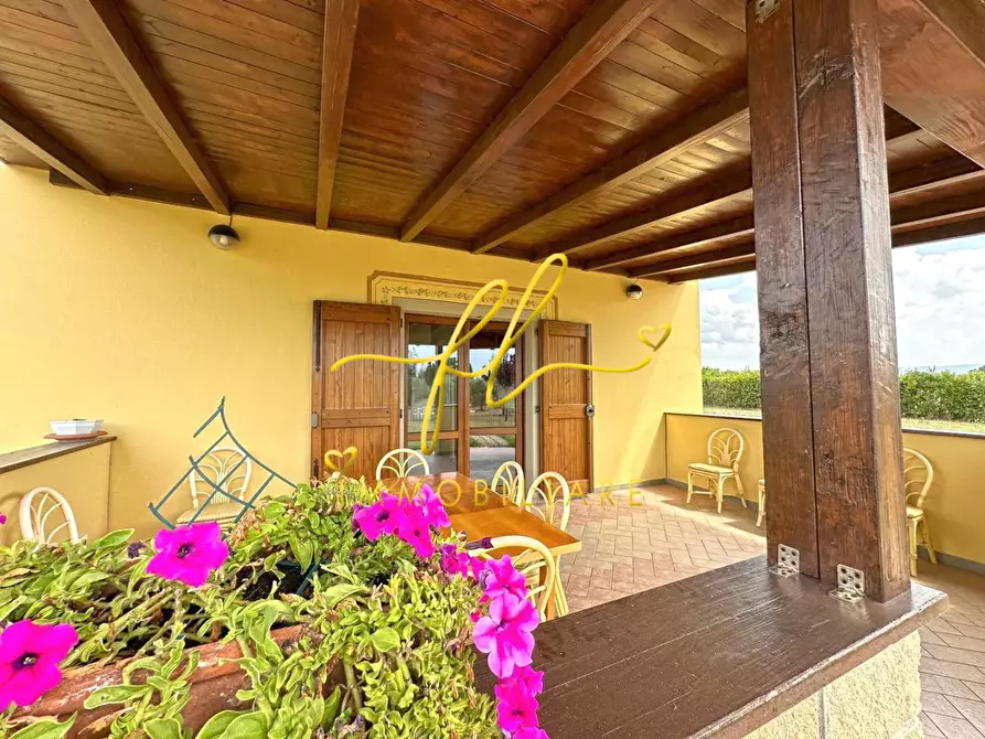 Immagine 1 di Terreno agricolo in vendita  a Bibbona