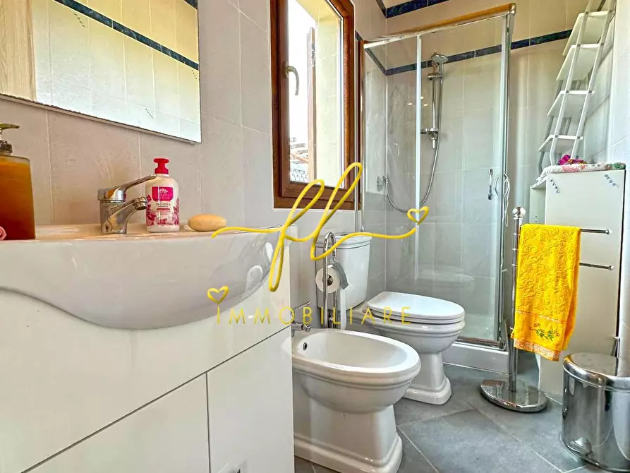 Immagine 22 di Terreno agricolo in vendita  a Bibbona