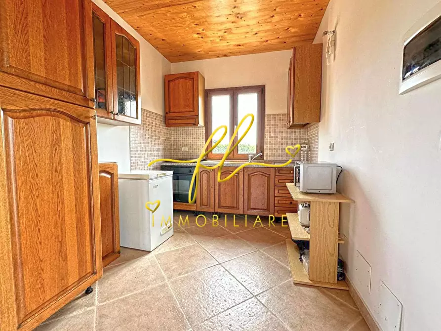 Immagine 16 di Terreno agricolo in vendita  a Bibbona