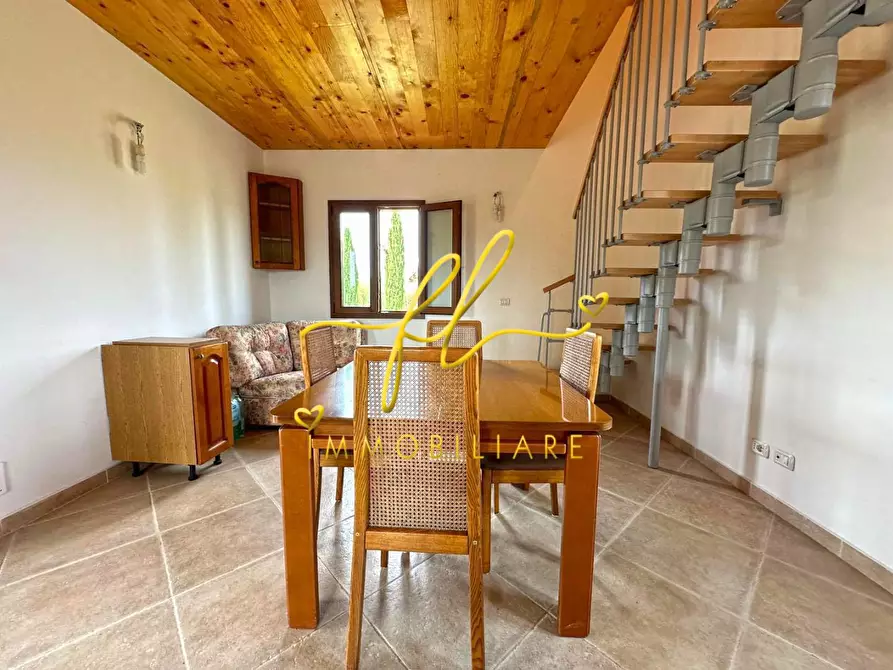 Immagine 12 di Terreno agricolo in vendita  a Bibbona