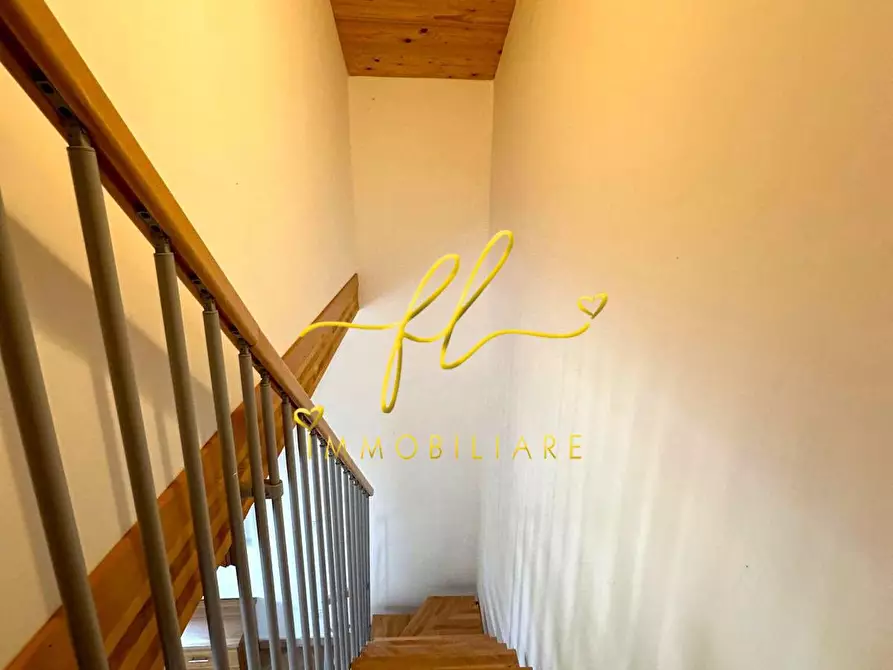 Immagine 19 di Terreno agricolo in vendita  a Bibbona