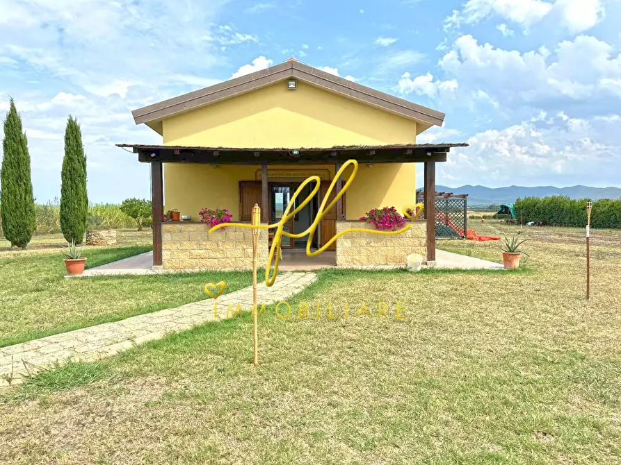 Immagine 7 di Terreno agricolo in vendita  a Bibbona