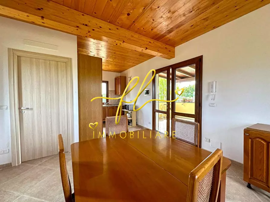 Immagine 14 di Terreno agricolo in vendita  a Bibbona