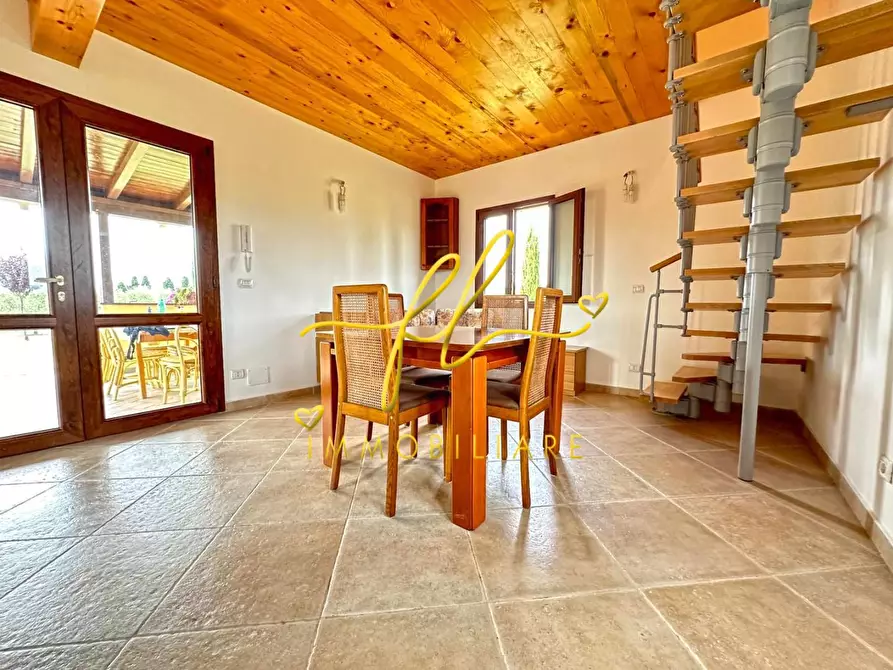 Immagine 11 di Terreno agricolo in vendita  a Bibbona