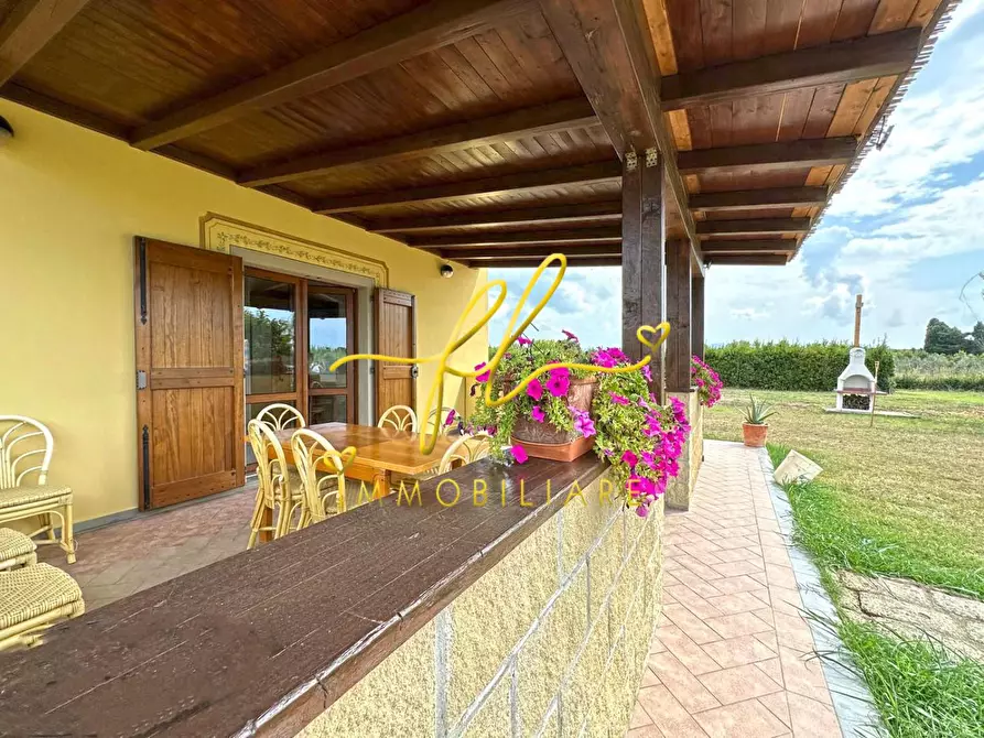 Immagine 2 di Terreno agricolo in vendita  a Bibbona