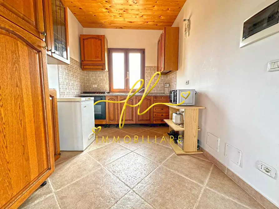 Immagine 15 di Terreno agricolo in vendita  a Bibbona