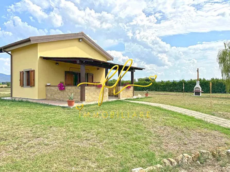 Immagine 6 di Terreno agricolo in vendita  a Bibbona