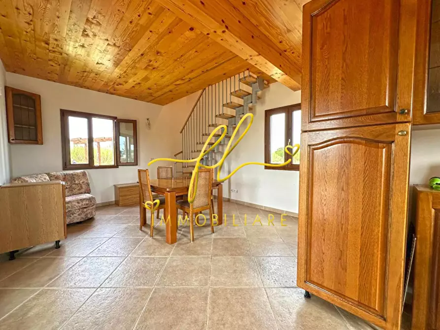 Immagine 17 di Terreno agricolo in vendita  a Bibbona