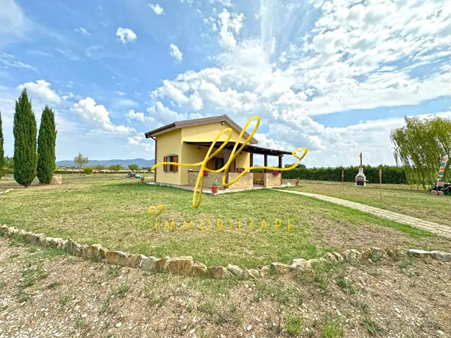 Immagine 8 di Terreno agricolo in vendita  a Bibbona