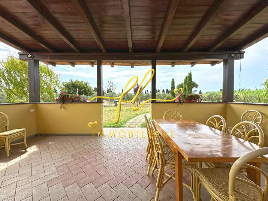 Immagine 10 di Terreno agricolo in vendita  a Bibbona