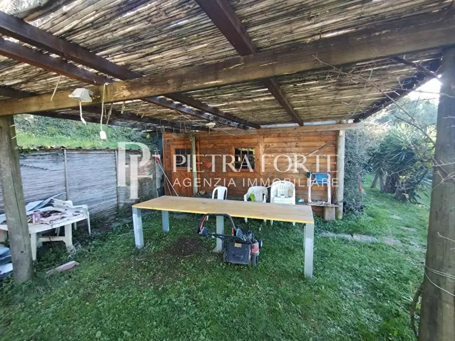 Immagine 3 di Terreno agricolo in vendita  a Pietrasanta