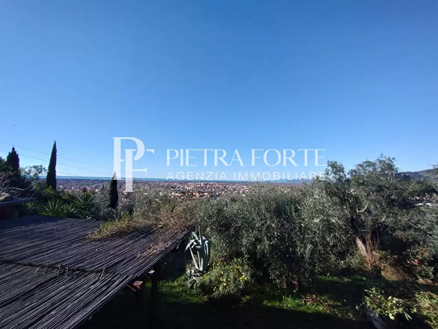 Immagine 2 di Terreno agricolo in vendita  a Pietrasanta