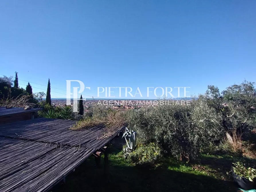 Immagine 1 di Terreno agricolo in vendita  a Pietrasanta