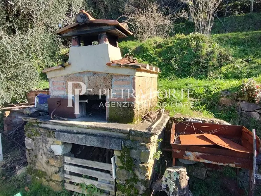 Immagine 4 di Terreno agricolo in vendita  a Pietrasanta