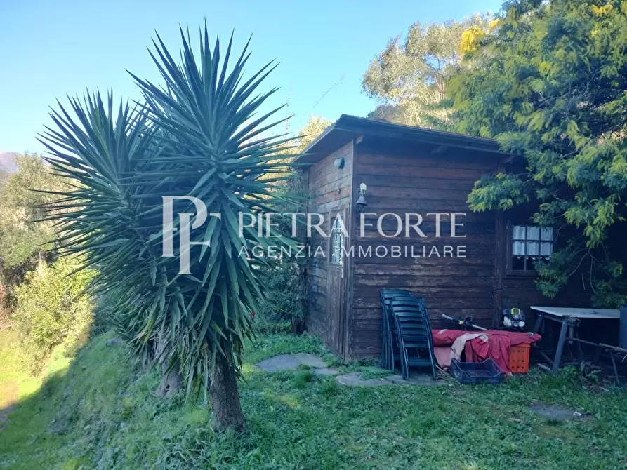 Immagine 5 di Terreno agricolo in vendita  a Pietrasanta