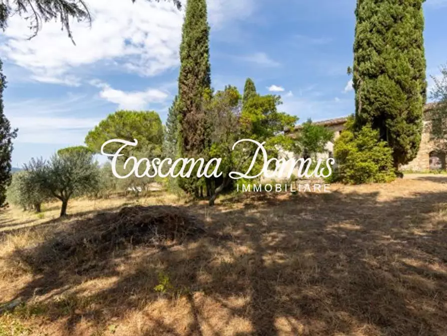 Immagine 11 di Casa colonica in vendita  a Castelnuovo Berardenga