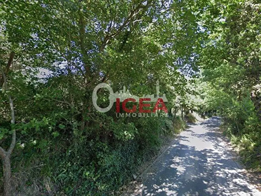 Immagine 25 di Casa trifamiliare in vendita  a Monteriggioni