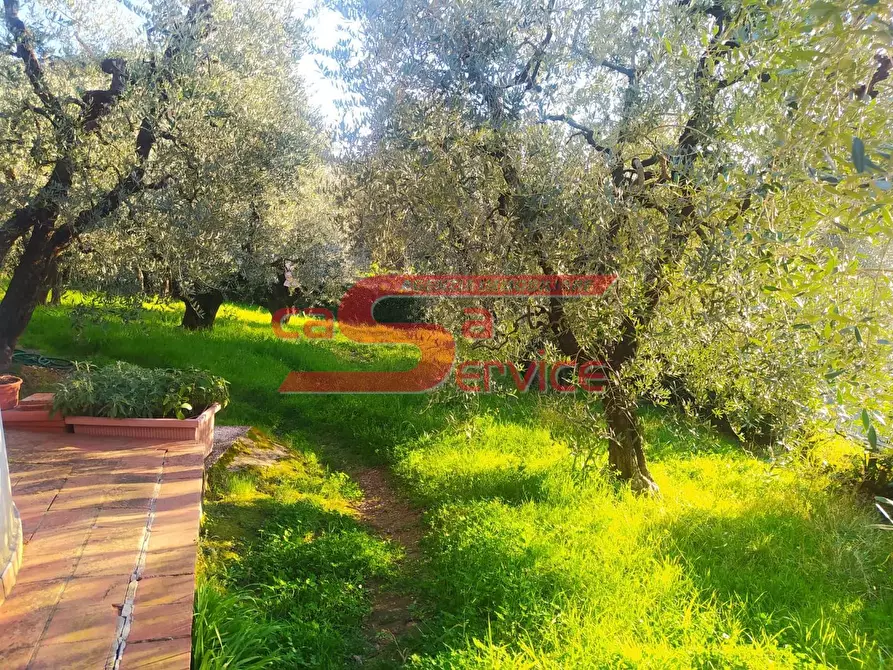 Immagine 15 di Villa in vendita  a Monsummano Terme