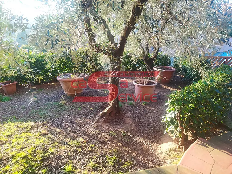 Immagine 16 di Villa in vendita  a Monsummano Terme