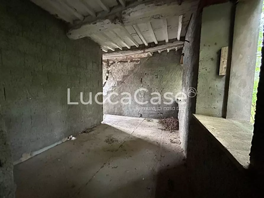 Immagine 31 di Terratetto in vendita  a Capannori