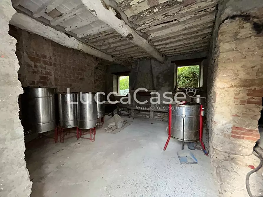 Immagine 12 di Terratetto in vendita  a Capannori