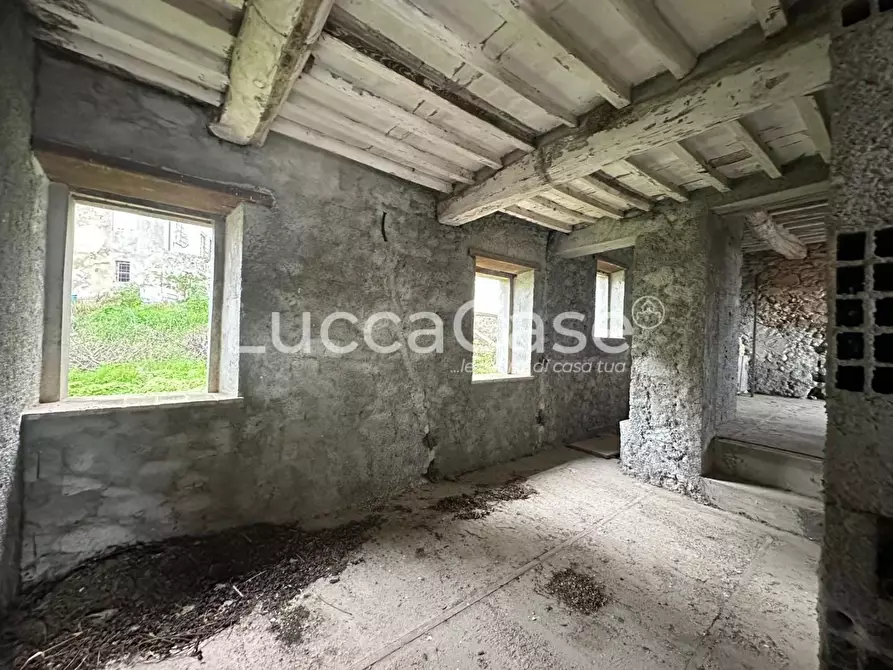 Immagine 61 di Terratetto in vendita  a Capannori