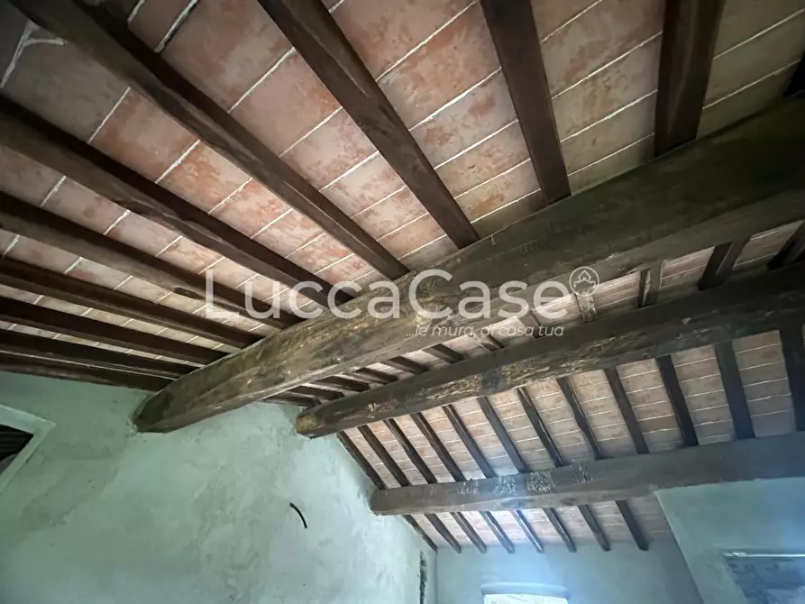 Immagine 45 di Terratetto in vendita  a Capannori