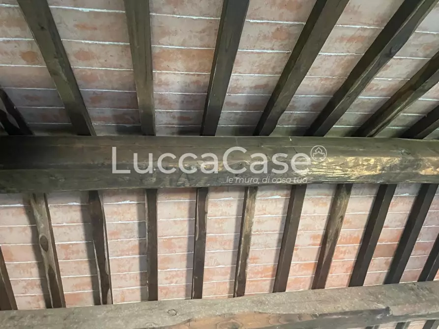 Immagine 33 di Terratetto in vendita  a Capannori