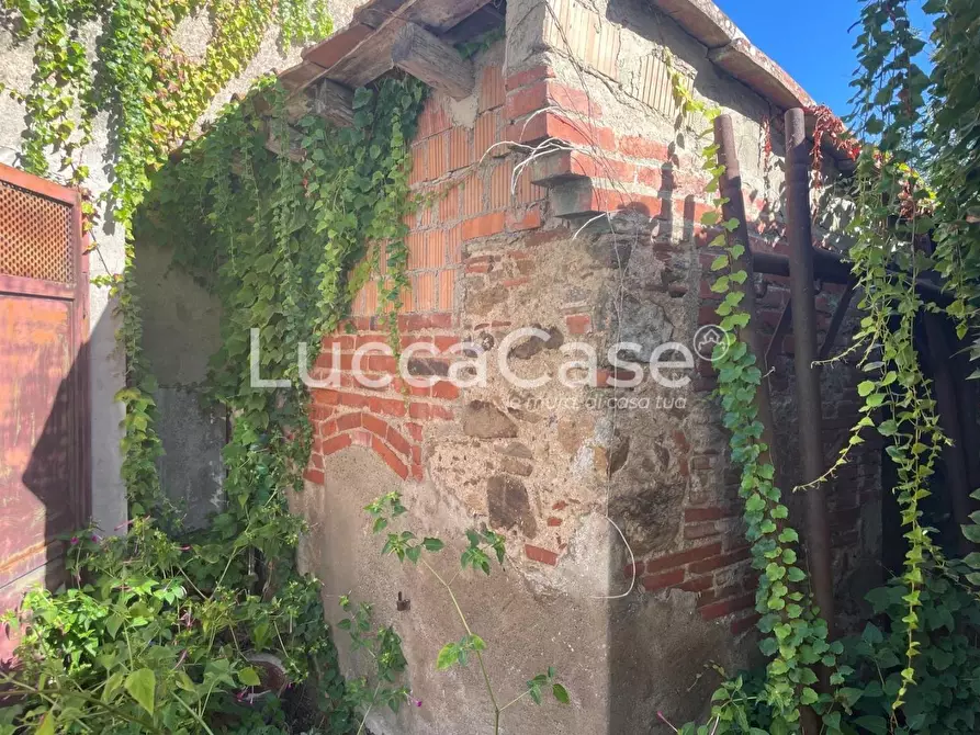 Immagine 38 di Terratetto in vendita  a Capannori