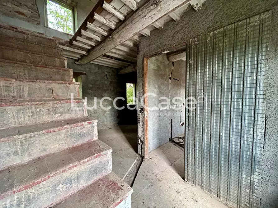 Immagine 25 di Terratetto in vendita  a Capannori