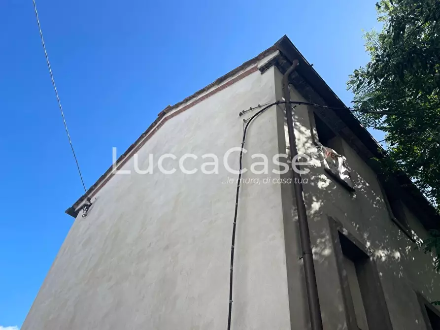 Immagine 6 di Terratetto in vendita  a Capannori